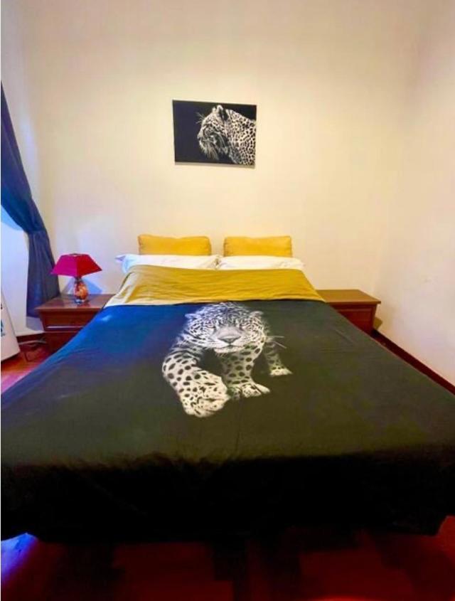 דירות רומא Parisa House מראה חיצוני תמונה